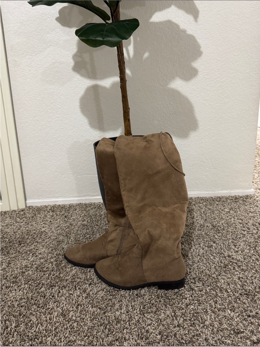 Women's Suede Knee-High Boots in Taupe